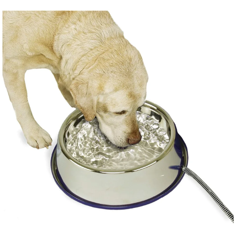 Heated Pet Bowl Dog Water Heated Water Dish Feeder For Dogs Cats Thermalbowl NEW